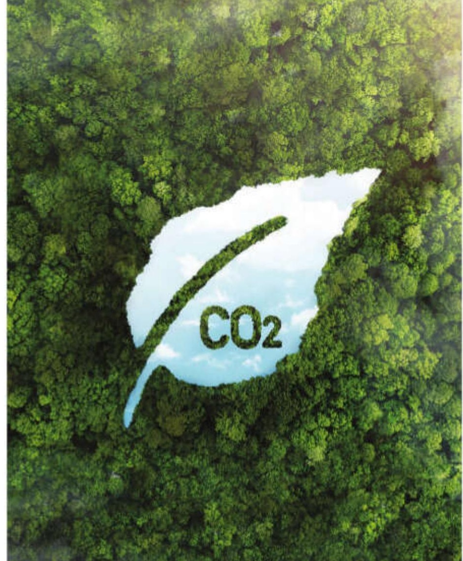 Climate change accelerating with natural carbon storage decline
