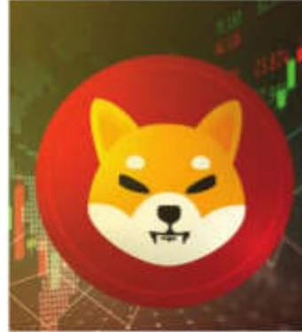 Shiba Inu tightens grip, burns 1 billion tokens