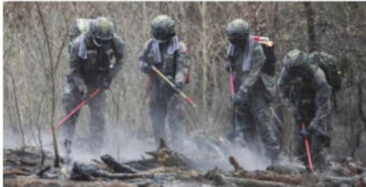 South Korea struggles to tame wildfires that killed 28