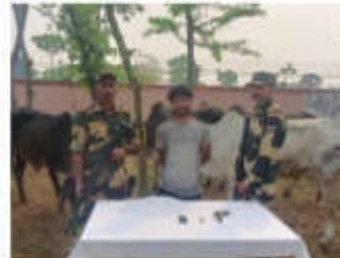 BSF jawan injured in attack along Indo-Bangladesh border