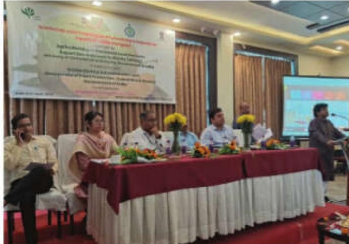 Malda's GI-tagged mangoes set to go global