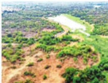 Kancha Gachibowli land case: Telangana govt moves HC complaining of fake posts