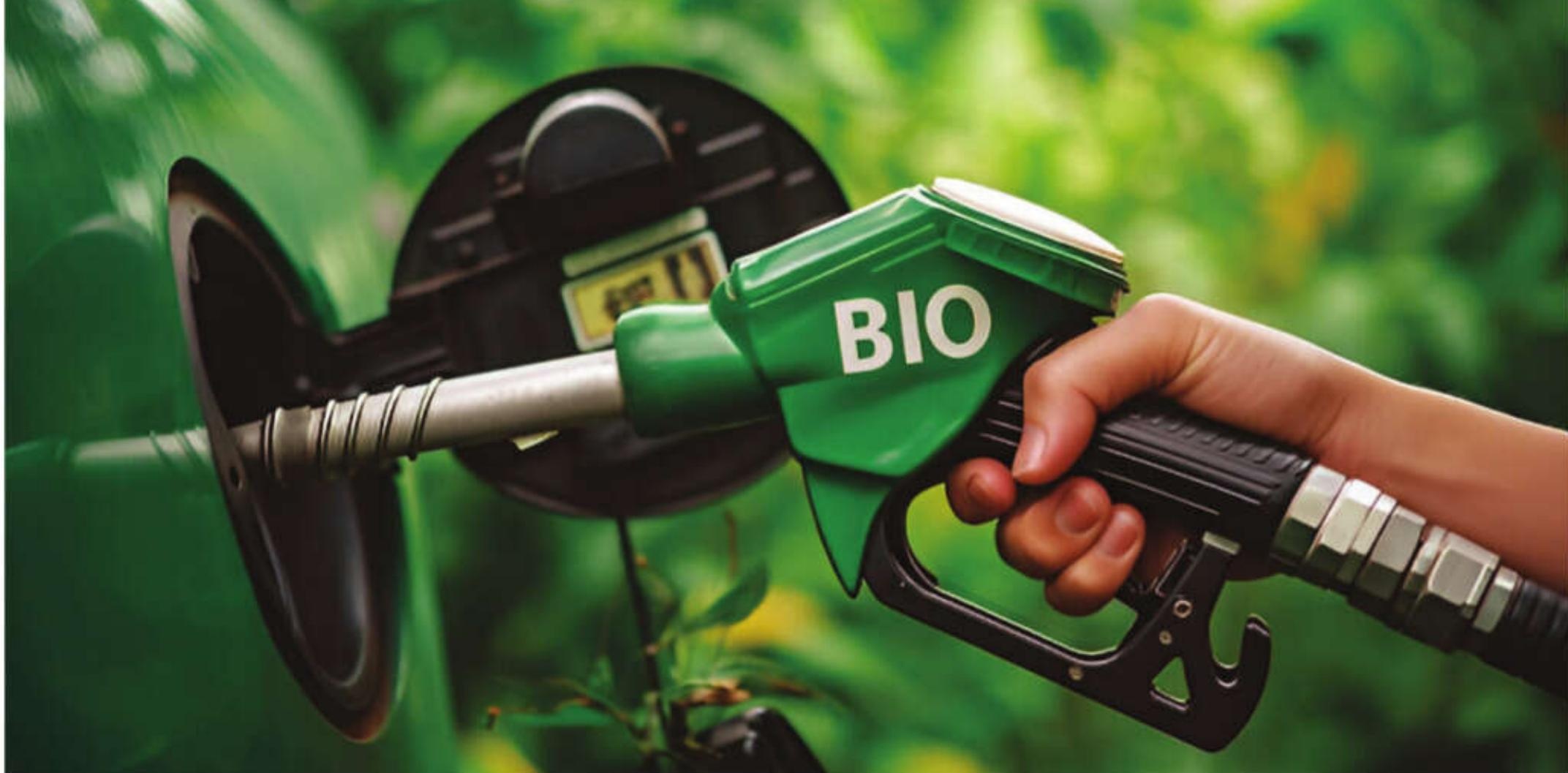 Driving change: Flex fuels and grain ethanol to power India's green future