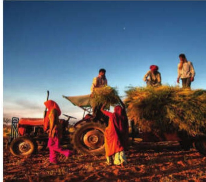Birbhum Leads State in Agricultural Infrastructure Development
