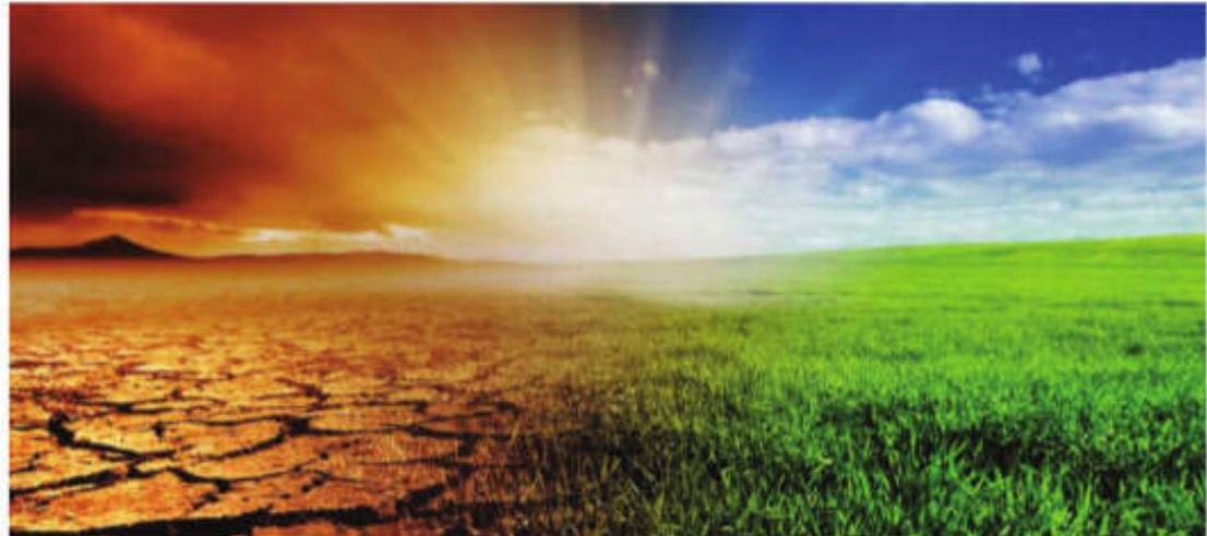 India emerges as $24 billion opportunity in global climate adaptation and resilience market