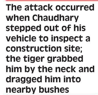 Tiger Kills Forest Ranger in Ranthambhore National Park
