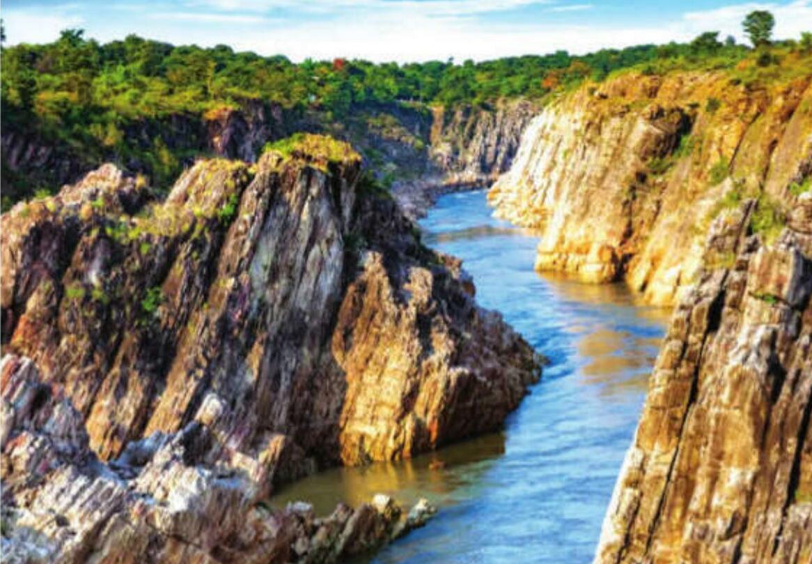 Discover the glorious heritage of Madhya Pradesh Exploring through its captivating museums