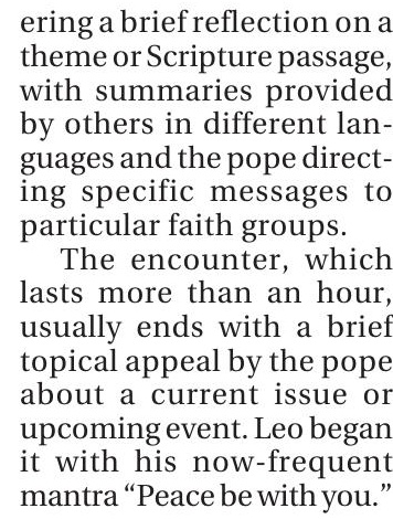 Pope Leo XIV Calls for Aid to Reach Gaza and an End to Hostilities in His First General Audience