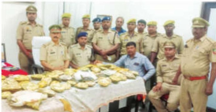 Uttar Pradesh government efforts for turtle conservation start showing results
