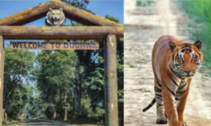 UP Govt Set To Launch ‘Buffer Mein Safar’ Yojana To Boost Eco-Tourism