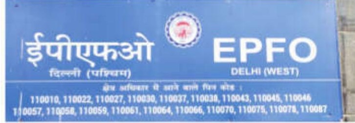 Govt Ratifies Interest Rate on PF Deposits at 8.25 pc for FY '24-25
