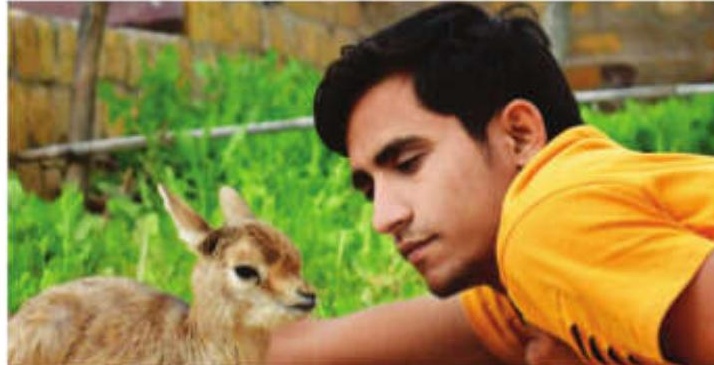 Four wildlife conservationists killed in road accident in Lathi region of Jaisalmer