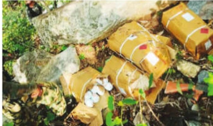 Explosives looted by Maoists recovered in joint operation by Odisha and Jharkhand forces