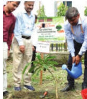 Board promotes use of jute as natural fibre