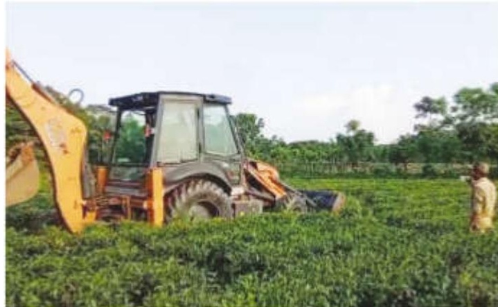 Tea garden razed in tribal area, BJP slams govt move
