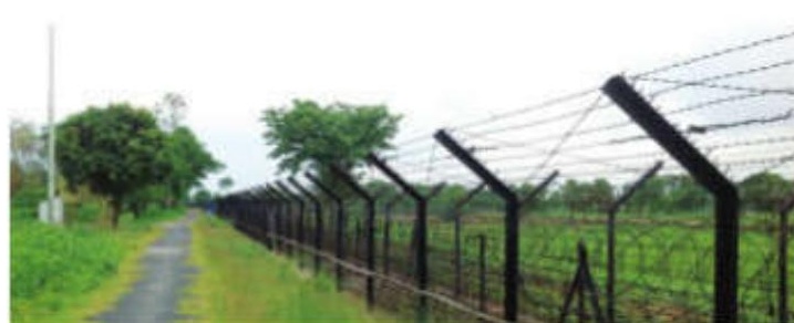 Critically Endangered Among 43 Grassland Bird Species Spotted in Kaziranga