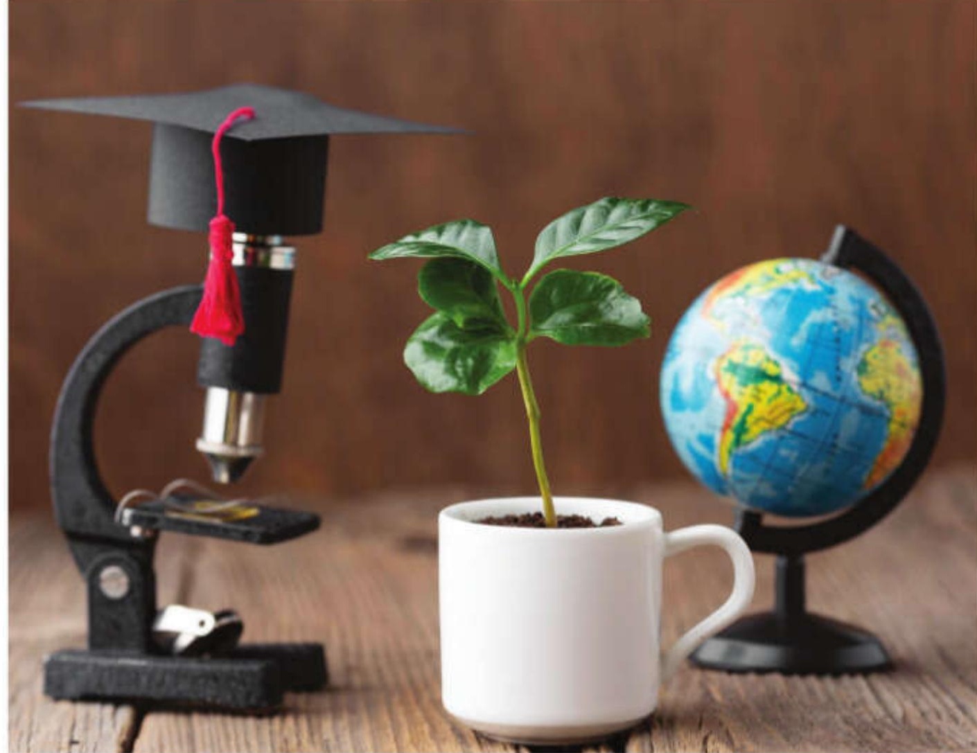 Mastering Sustainability: Environmental and International Development