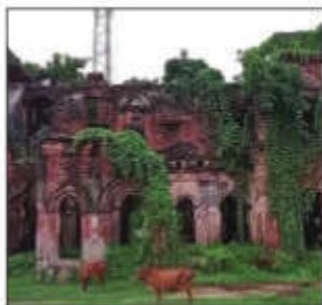 Freedom fighter Rasbehari Ghosh's property transferred to Governor
