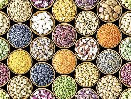 दलहन-तिलहन की खेती को दिया जाए बढ़ावा