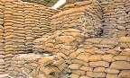 एफसीआइ के गोदामों से 500 मीट्रिक टन गेहूं-चावल गायब