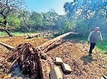 भूकंप के तेज झटकों व गड़गड़ाहट से दहली दिल्ली, दो घंटे बाद बिहार में भी कांपी धरती