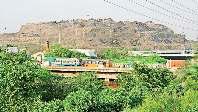 भलस्वा लैंडफिल साइट पर आज पौधारोपण करेंगे एलजी व सीएम