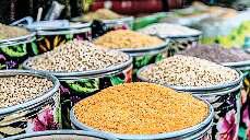 बढ़ते रकबे से जगी दालों में आत्मनिर्भर बनने की उम्मीद