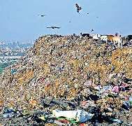 गाजीपुर में निर्धारित सीमा से 20 मीटर ऊंचा हुआ कूड़े का पहाड़, एनजीटी सख्त