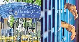 तिहाड़ जेल संख्या-दो बनेगी तहव्वुर का ठिकाना