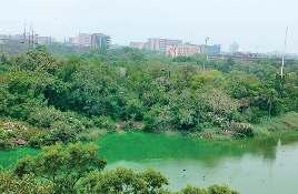 256 जलाशयों को मिला पुनर्जीवन, एक नया खोजा