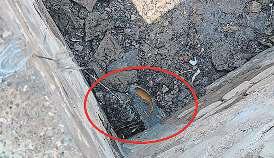 पीएनजी पाइपलाइन लीक होने से लगी आग, दो घंटे बंद रहे बड़ी के 30 उद्योग