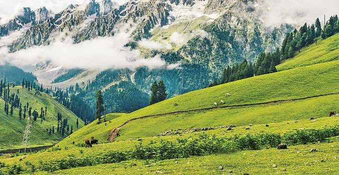 आतंकवाद को सिनेमा की चुनौती
