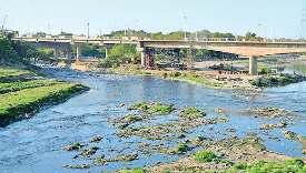 यमुना में सीवेज डंपिंग से निपटने के लिए 10 दिन में कार्ययोजना पेश करने के निर्देश