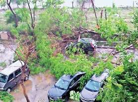 आंधी ने फरीदाबाद में किया भारी नुकसान, खंभों पर गिरे पेड़, बिजली बंद