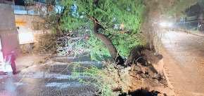 तेज आंधी में गिरे पेड़, जलजमाव से दक्षिणी दिल्ली में लगा जाम