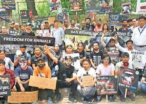 बकरीद पर पशुओं की कुर्बानी पर रोक की मांग, जंतर-मंतर पर किया प्रदर्शन