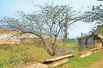 रानी खेड़ा में नया औद्योगिक क्षेत्र विकसित होने की जगी उम्मीद