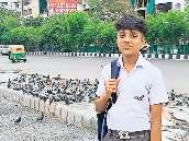 छात्र ने उठाई कबूतरों से संबंधित समस्या, तो एनजीटी ने सरकार व एजेंसियों से मांगा जवाब