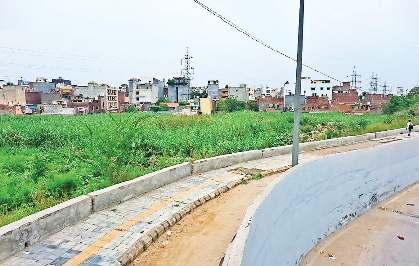 50 साल में 90% तक खत्म हुई दलदली भूमि