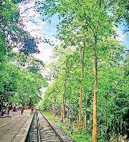 हरित भारत के प्रति समर्पित रेलवे