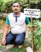 पिछले साल लगाए गए पौधे, कहीं लहराए तो कहीं मुरझाए