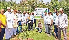 सूरजमल पार्क में लगाए गए मां के नाम पर पौधे