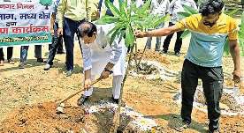 जगह-जगह लगाए गए पौधे, धरती बचाने का लिया संकल्प