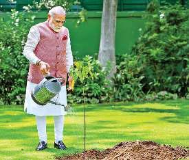 अरावली ग्रीन वाल प्रोजेक्ट के तहत दिल्ली से गुजरात तक खड़ी होगी हरियाली की दीवार