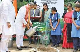 एक दिन में रोपे तीन लाख से अधिक पौधे