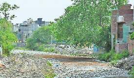 कचरे से पटे नालों में उतरा रहे सफाई के दावे