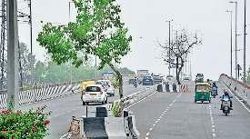 अप्सरा बार्डर से आनंद विहार फ्लाईओवर पर आ रहे पेड़ हटाने की मंजूरी मिली