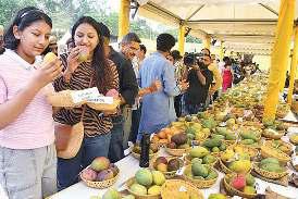 आपरेशन सिंदूर के नाम से आम की नई किस्म तैयार कराएगी एनडीएमसी