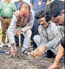 सोयाबीन का बीज खराब, शिवराज ने खोदकर देखा, जांच कराएंगे