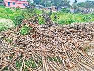 सात घंटे तक चला क्रूरता का खेल, घर के सामने ही पांच को जिंदा जला दिया